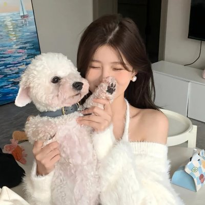 探爱小队研究所