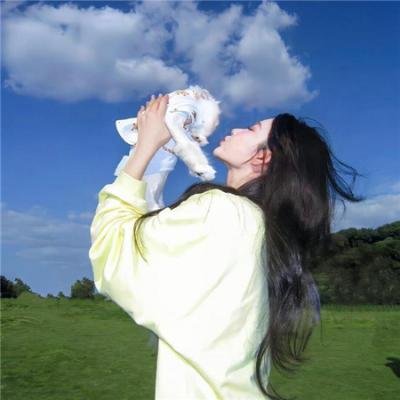 被解放的蠢朋克