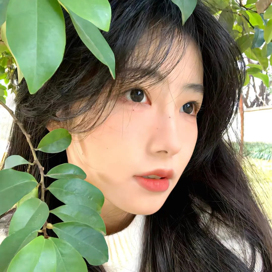 神女为我下凡尘